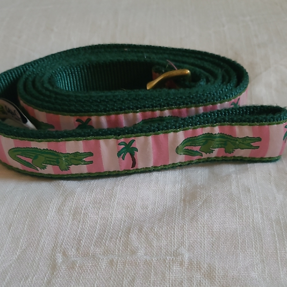Pink and Green Kids Belt